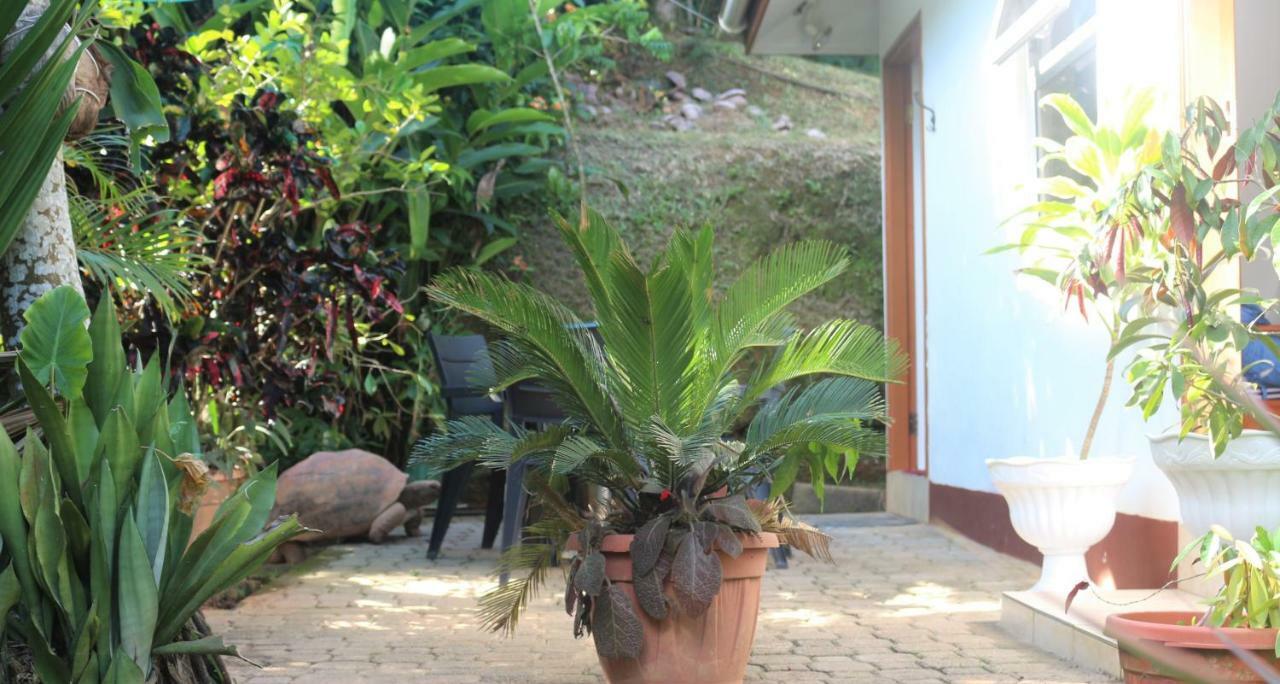 Appartamento Garden Hut Victoria Esterno foto
